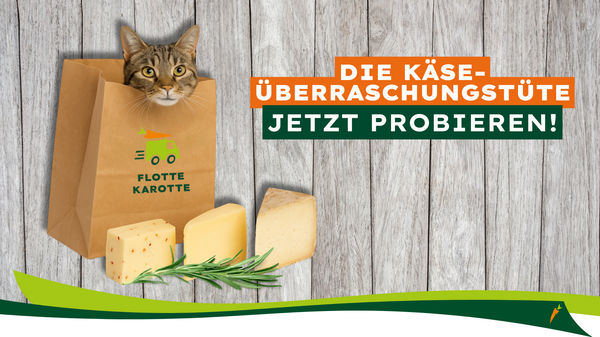 KI generiert: Eine Katze schaut aus einer Papiertüte, daneben Käse. Text: "DIE KÄSE-ÜBERRASCHUNGSTÜTE JETZT PROBIEREN!" und "FLOTTE KAROTTE".