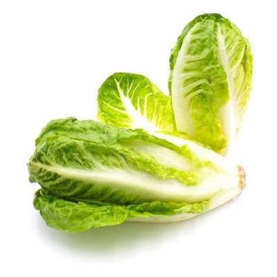Produktfoto zu Mini Romana-Salat