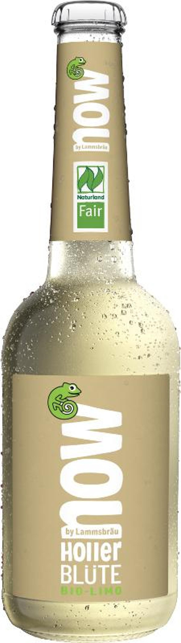 Produktfoto zu 10er Kasten now Holler Blüte von Lammsbräu