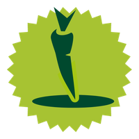 KI generiert: Ein grünes Karotten-Logo auf einem helleren sternförmigen Hintergrund.
