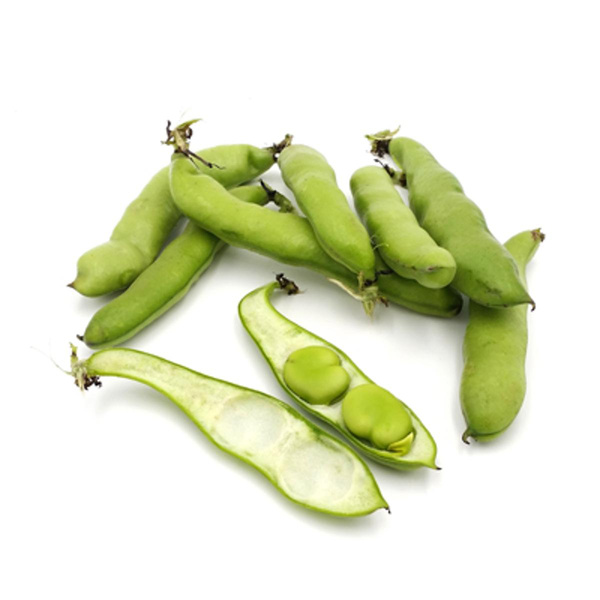 Produktfoto zu Dicke Bohnen