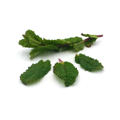 Produktfoto zu frische Minze