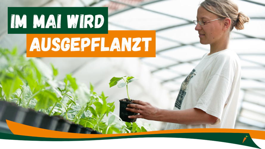 Unser Wochenangebot 19