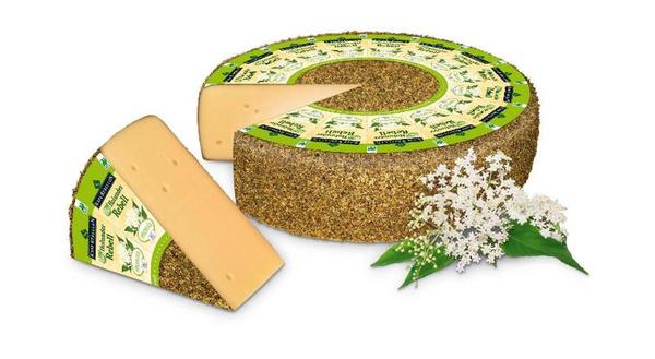 Produktfoto zu Holunder Rebell, 50% von Käserebellen