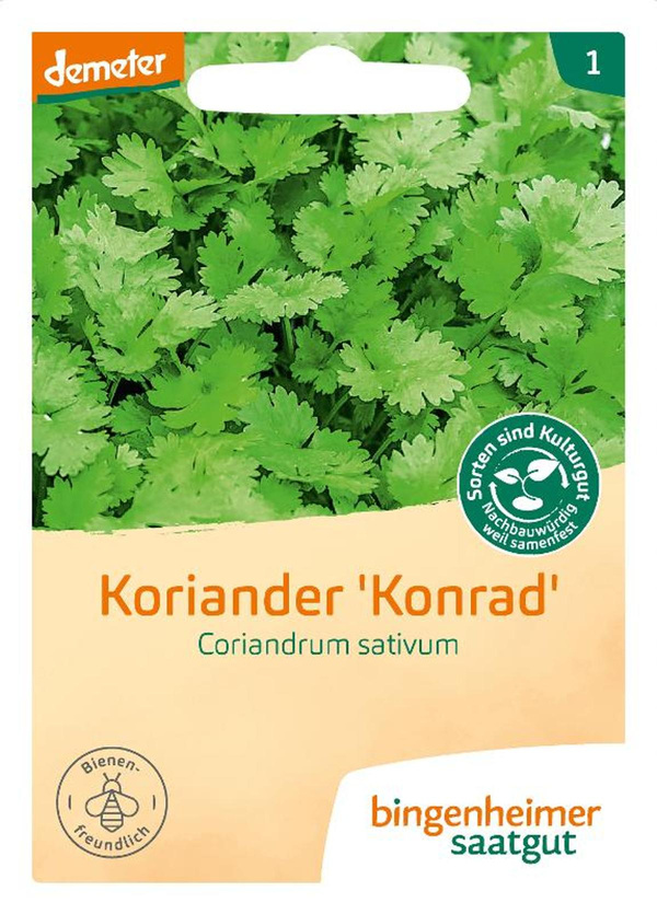 Produktfoto zu Saatgut Koriander von Bingenheimer Saatgut