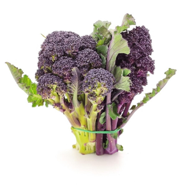 Produktfoto zu violetter Sprossen Brokkoli im Bund, 200g von Azienda Di Lauro