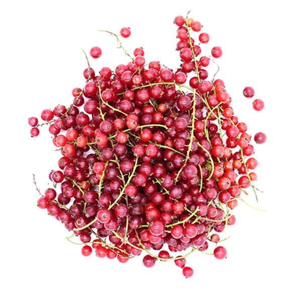 Produktfoto zu rote Johannisbeeren