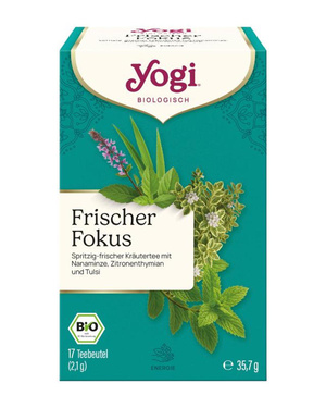 Yogi Tea Frischer Fokus - Flotte Karotte