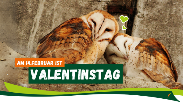 KI generiert: Das Bild zeigt verschiedene Fair-Trade-Produkte wie Nüsse, Kaffee, Schokolade und Baumwolle auf einem Tisch. Im Vordergrund steht ein Schild mit der Aufschrift "Fairbruary", das einen fairen Handel bewirbt.