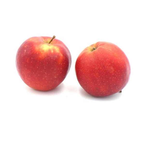 Produktfoto zu Äpfel Red Jonaprince