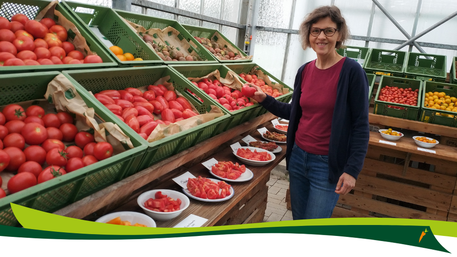 Was kostet eigentlich eine Tomate?