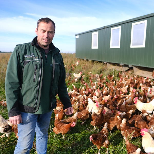 KI generiert: Ein Mann steht auf einer Wiese umgeben von vielen Hühnern vor einem grünen Container.