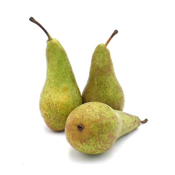 Produktfoto zu Birne Conference neue Ernte