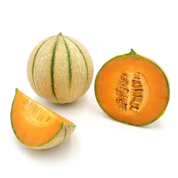 Produktfoto zu Cantaloupe Melone 650g+