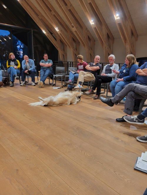 KI generiert: Menschen sitzen im Kreis, ein Hund liegt entspannt in der Mitte auf dem Boden.
