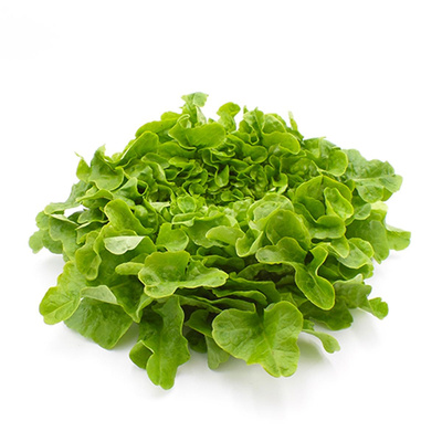 Produktfoto zu Salat der Saison