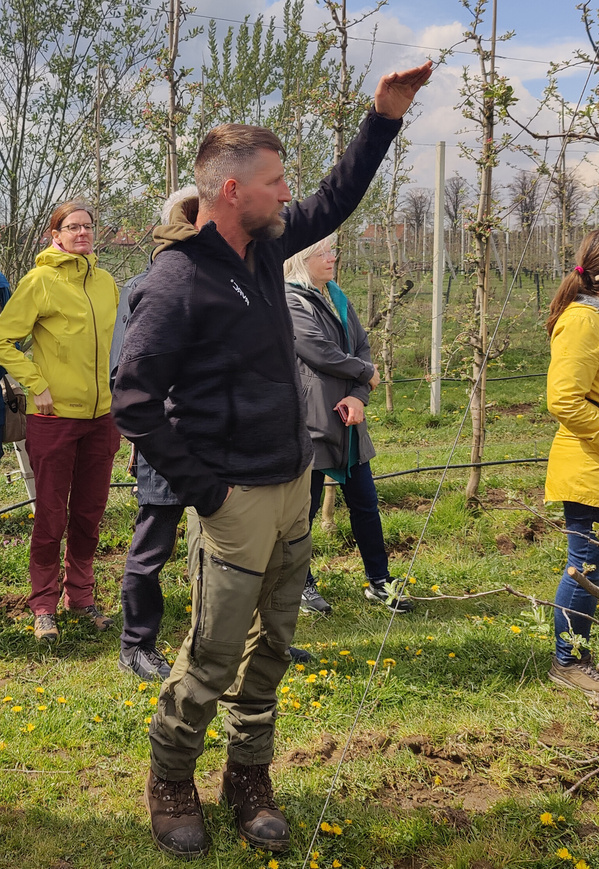 KI generiert: Eine Gruppe von Menschen in einem Obstgarten, ein Mann erklärt etwas.