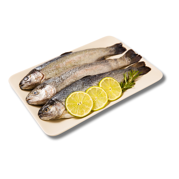 Produktfoto zu Frische Forelle, ca. 300g - 450g