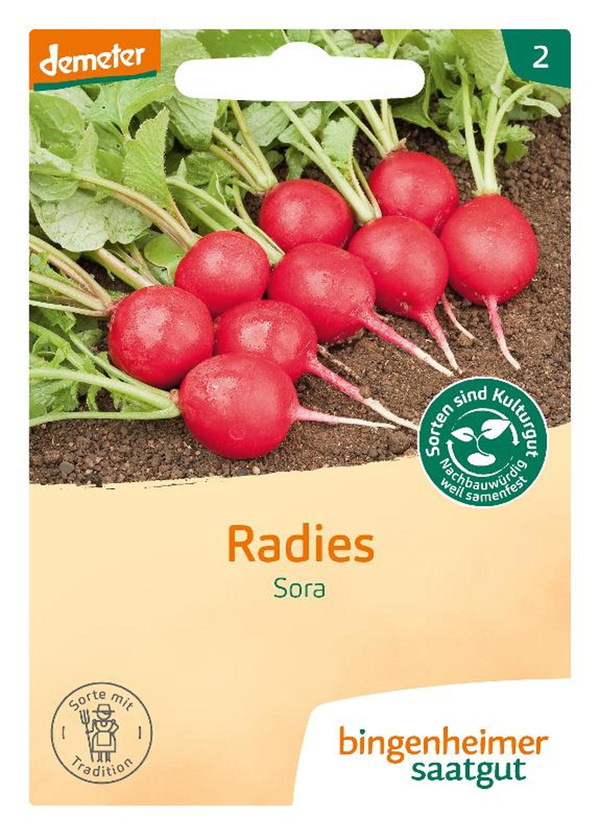 Produktfoto zu Saatgut Radieschen Sora von Bingenheimer Saatgut