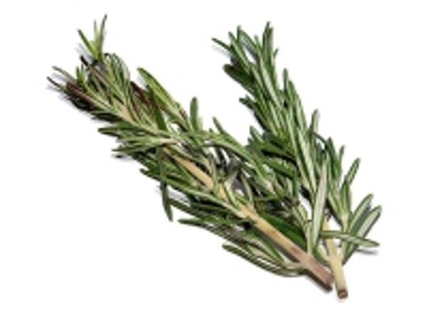 Produktfoto zu frischer Rosmarin im Bund