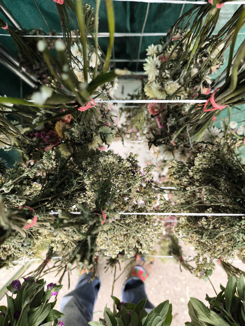 KI generiert: Bündel von Blumen hängen kopfüber, zwischen ihnen Füße sichtbar.