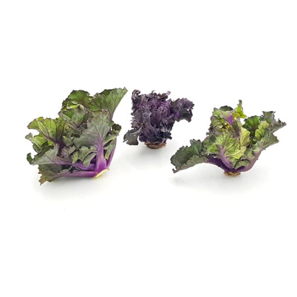 Produktfoto zu Flower Sprouts, 150g
