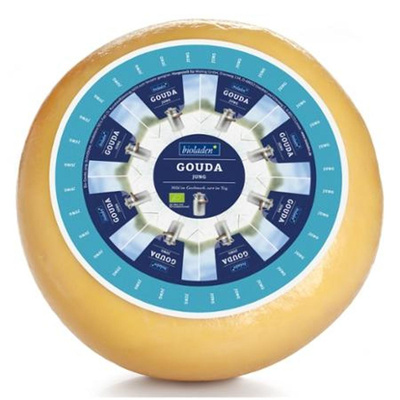 Produktfoto zu Laib 4,8kg Gouda jung, 50%  von bioladen