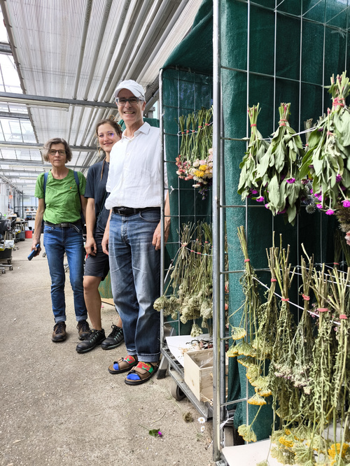 KI generiert: Ein Gewächshaus mit zahlreichen grünen Pflanzen; Personen im Hintergrund.