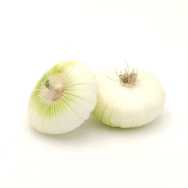 Produktfoto zu weiße  Zwiebeln, neue Ernte