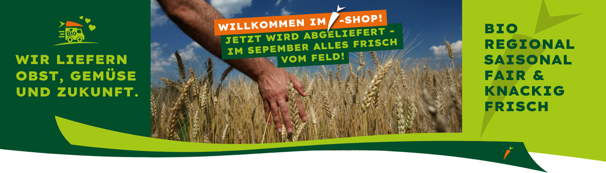 KI generiert: Hand berührt Getreidefeld, Texte: "WIR LIEFERN OBST, GEMÜSE UND ZUKUNFT", "WILLKOMMEN IM E-SHOP!", "BIO REGIONAL SAISONAL".