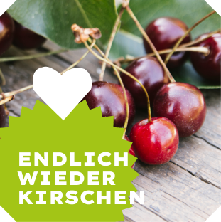 KI generiert: Das Bild zeigt eine stilisierte lila Aubergine mit einem grünen Stiel. Der Hintergrund ist transparent.