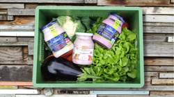 Produktfoto zu Joghurt der Woche