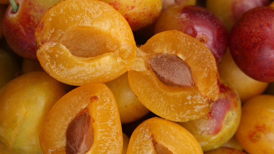 Unser Wochenangebot 32