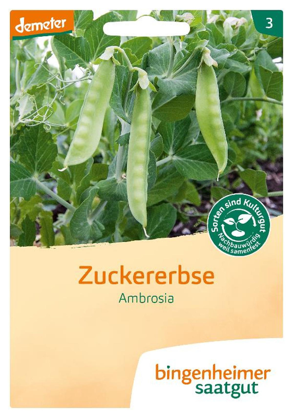 Produktfoto zu Saatgut Zuckererbse Ambrosia von Bingenheimer Saatgut