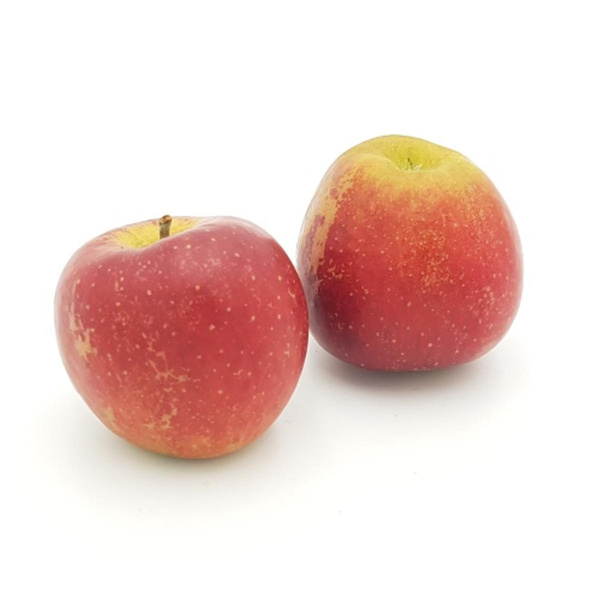 Produktfoto zu Äpfel Wellant von Augustin