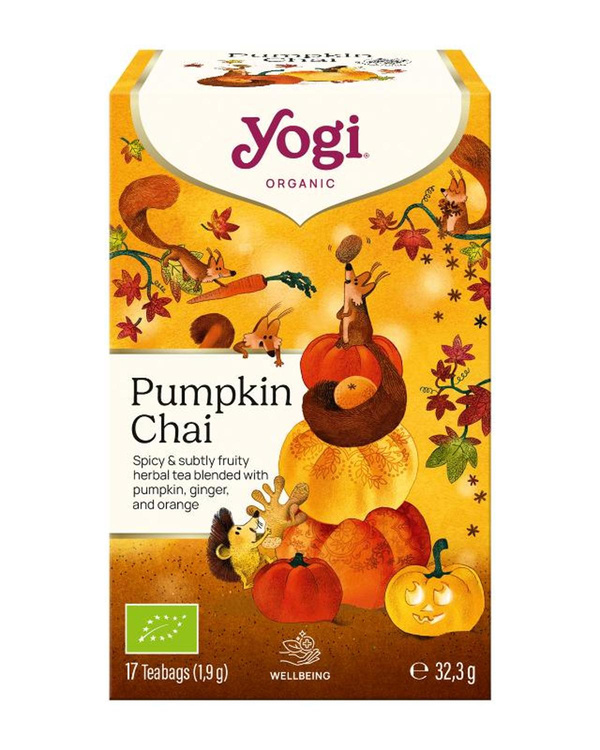 Produktfoto zu Pumpkin Chai von Yogi Tea®