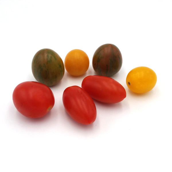 Produktfoto zu bunter Cherrytomaten-Mix, 250g