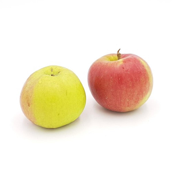 Produktfoto zu Äpfel Santana, neue Ernte