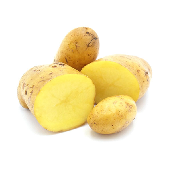 Produktfoto zu festkochende Kartoffeln