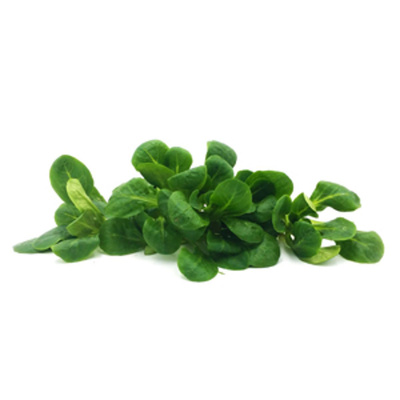 Produktfoto zu Feldsalat von Brands