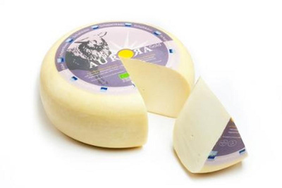 Produktfoto zu Schaf Gouda jung, 50% von Aurora Gold